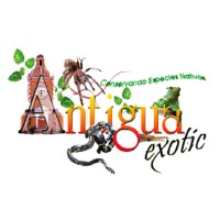 Antigua Exotic: Centro de Rescate logo - Similar company to Genc Foundation