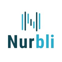 Nurbli logo - Similar company to Rockethacks