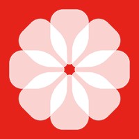 Studio Camelia logo - Similar company to Push Start