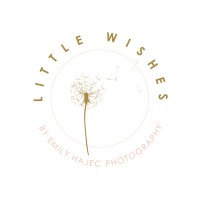 Little Wishes By Emily Hajec Photography