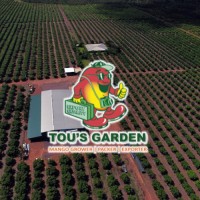 Tou's Garden P/L (Mango Farmer) logo - Similar company to Eml Realty Partners