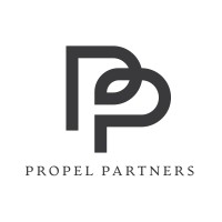 Propel Partners LLP logo - Similar company to Mendeleev Investments