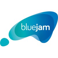 Blue Jam logo - Similar company to The Auditors Institute Ltd