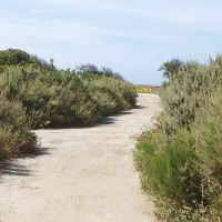 aerea / Leslie Ryan, Landscape Architect logo - Similar company to Elizabeth Kennedy Landscape Architect, Pllc