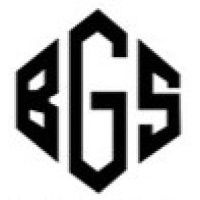 Business Transition Specialists Group