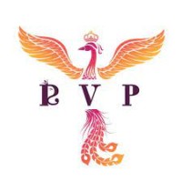 Royal Vision Planners (Wedding events ) logo - Similar company to Mahi Technocrafts