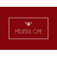 Mellifera One Consulting Limited logo - Similar company to Jubisoft Ltd