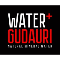 Water Gudauri - წყალი გუდაური logo - Similar company to Gudauri Inn