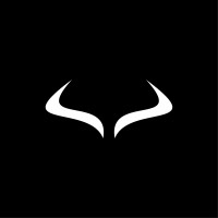 bullwork logo - Similar company to Placed