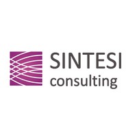 Sintesi Consulting logo - Similar company to Sintez