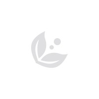 Bodé Spa for Men logo - Similar company to Sugarmoon