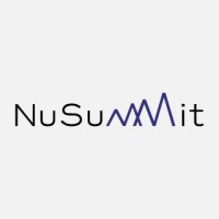 NuSummit logo - Similar company to Nseit Limited