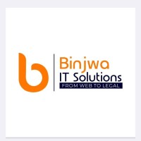 Binjwa IT Solutions Pvt Ltd logo - Similar company to Vitechso Techlab