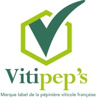 Vitipep's logo - Similar company to Qanopée