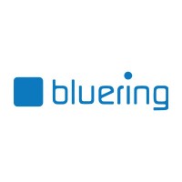 Bluering - Lend Smarter, Grow Faster logo - Similar company to Nedamco Africa