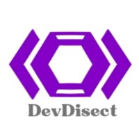 DevDisect logo - Similar company to Infoiconic