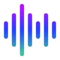 ConnecTex Solutions LLC logo - Similar company to Fexle Services Pty Ltd