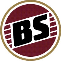 BS di Samogin A. & C. srl logo - Similar company to Ciak Srl