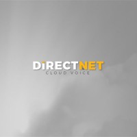 DirectNet Corp logo - Similar company to I.Go For Education | Plataforma De Inovação