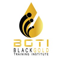 Black Gold Training Institute - معهد الذهب الأسود للتدريب logo - Similar company to Human Assets Training Institute