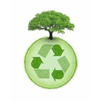 Recycle Bois Maroc logo - Similar company to Das Servicios Integrales