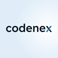 Codenex Solutions LLP logo - Similar company to Codenex
