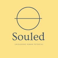 Souled logo - Similar company to Datadrive Recruits