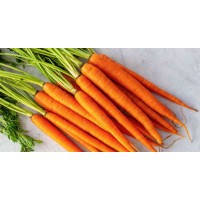 Carrot Company logo - Similar company to Carot