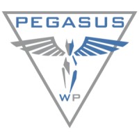 Pegasus WP logo - Similar company to Social Marketing Services