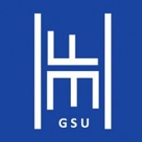 Future Healthcare Executives at Georgia State University logo - Similar company to Flushing Tech