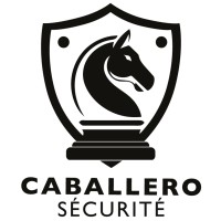 Knight Security logo - Similar company to Image In