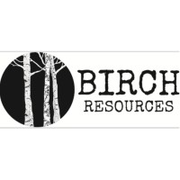 Birch Resources logo - Similar company to Ou Foundation