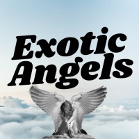 Exotic Angels logo - Similar company to Seduce Me