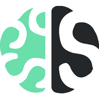 Brainstorm Solutions logo - Similar company to Executive Digital