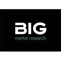 Business Intelligence Group srl logo - Similar company to Elevate With Tariq
