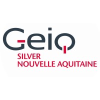 GEIQ Silver Nouvelle Aquitaine logo - Similar company to Vakom Brive
