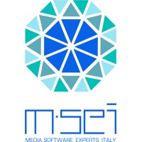 M.SEI S.r.l logo - Similar company to Estenso S.R.L.