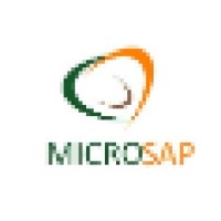 Microsap Solutions logo - Similar company to Keytech Australia