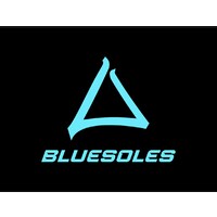 Bluesoles logo - Similar company to Ornezeder & Partner Gmbh & Co Kg