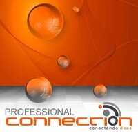 Professional Connection logo - Similar company to Merkatig