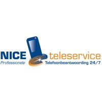 NICE teleservice logo - Similar company to Call Info