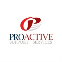 Proactive Support & Services LTD (UK) logo - Similar company to Relationship Development Director - Atsp Group Llc