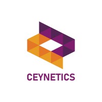 Ceynetics logo - Similar company to 2Xdev