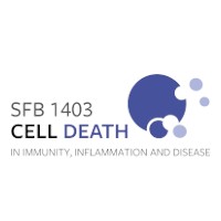 SFB 1403 logo - Similar company to Polish Academy Of Sciences