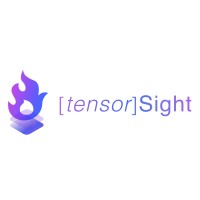 Tensor Sight logo - Similar company to Ai Art Hub