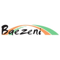 Baezeni Company Network logo - Similar company to Git As