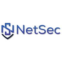 NetSec Consulting