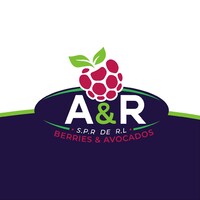 A&R Berries-Avocados logo - Similar company to Tierramaya