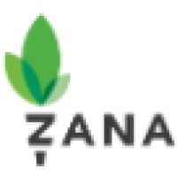 Zana logo - Similar company to Mlink Technologies