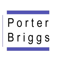 Porter Briggs Consulting logo - Similar company to Futurebridge Inc.